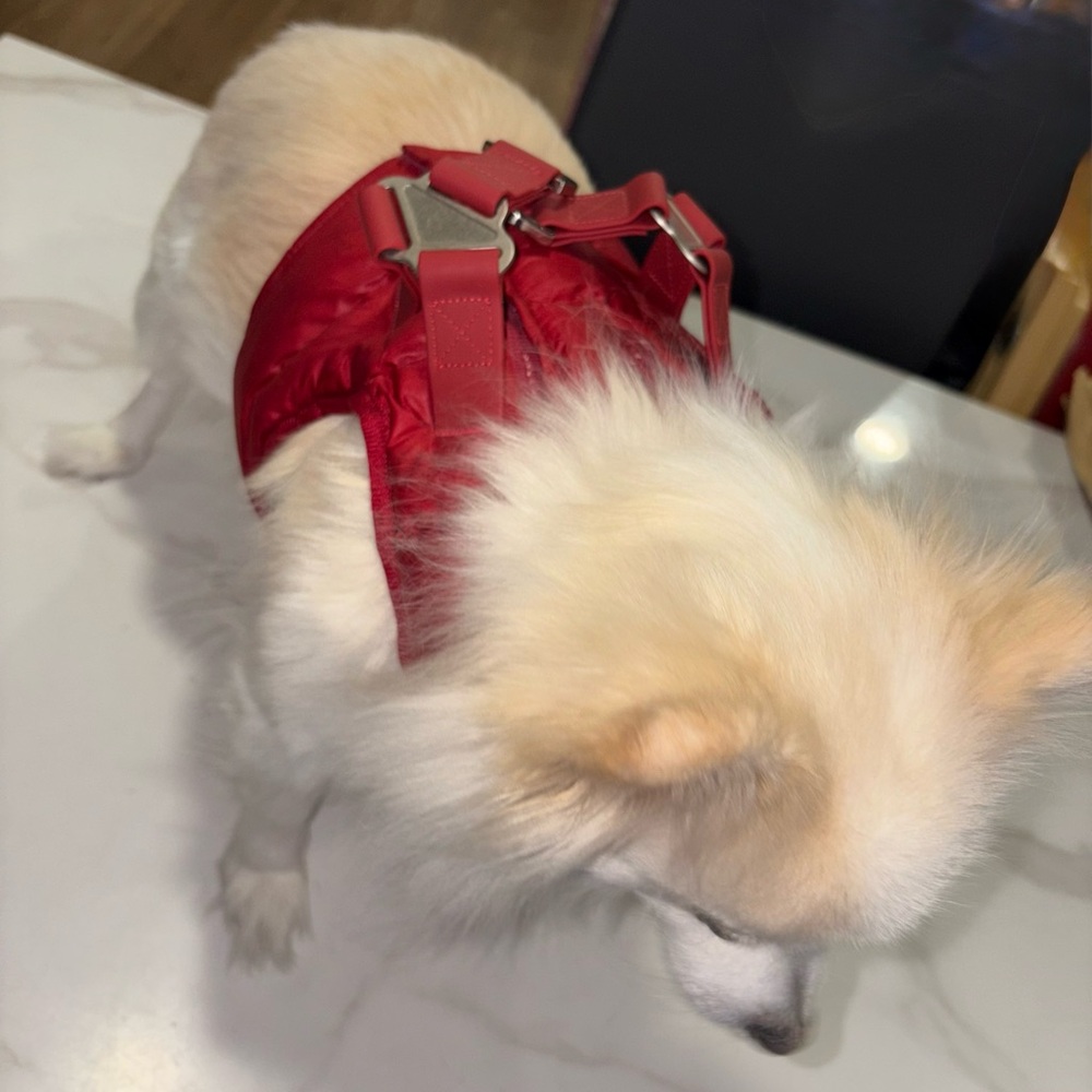 Ferribiella Harness Nuvola Gilet Breastplate Jacket for small Dog - Picture 6 of 16